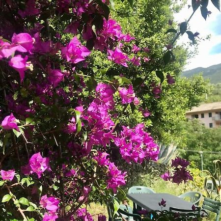 Apartament La Casa Novella, A 450 Metri Dal Mare Moneglia Zewnętrze zdjęcie