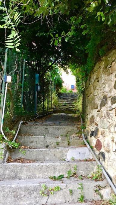 Apartament La Casa Novella, A 450 Metri Dal Mare Moneglia Zewnętrze zdjęcie