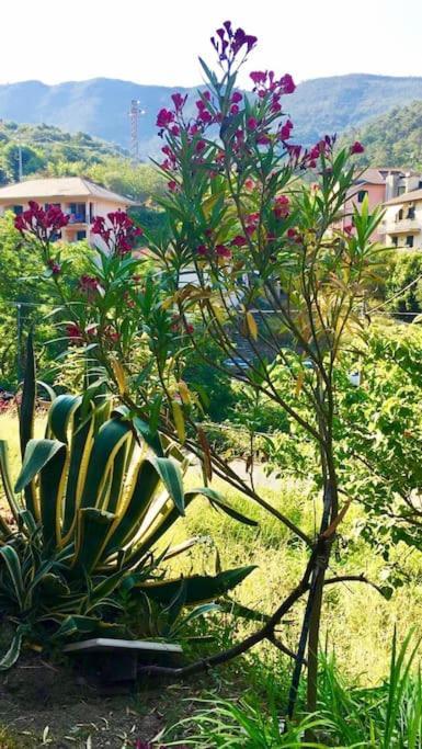 Apartament La Casa Novella, A 450 Metri Dal Mare Moneglia Zewnętrze zdjęcie