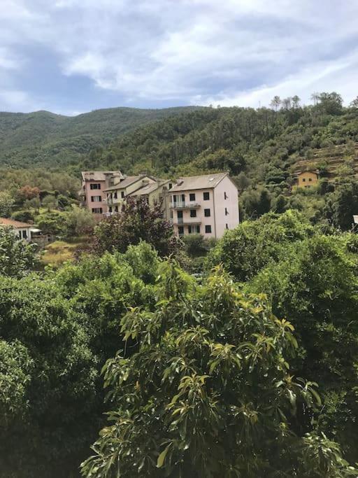 Apartament La Casa Novella, A 450 Metri Dal Mare Moneglia Zewnętrze zdjęcie