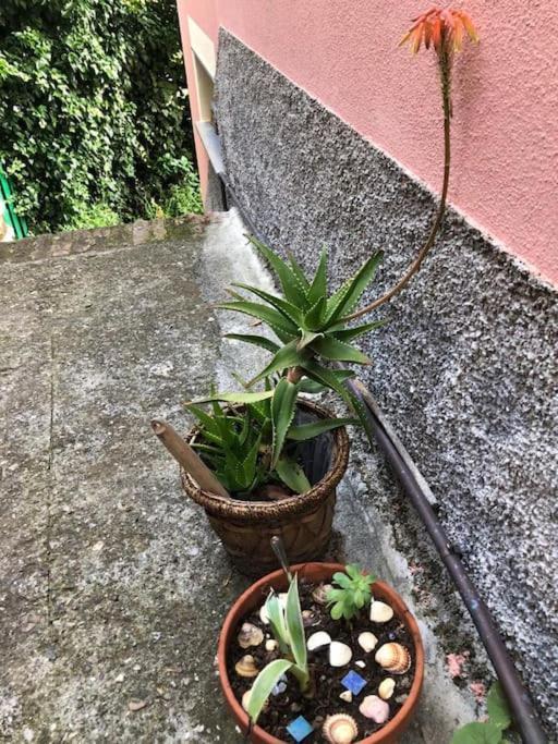 Apartament La Casa Novella, A 450 Metri Dal Mare Moneglia Zewnętrze zdjęcie